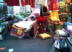 fiera_f06